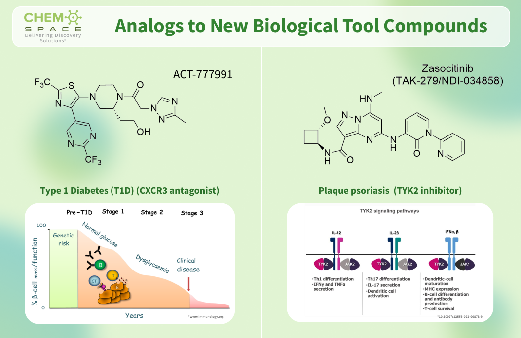 Chemspace offers Analogs to New Biological Tool Compounds. Part 25